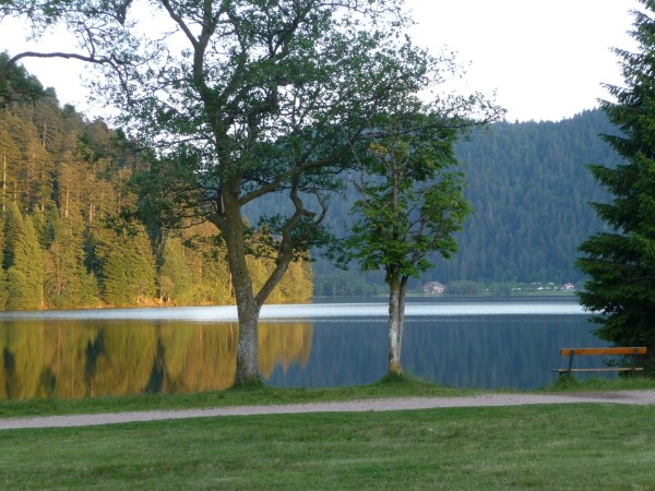 Lac de Longemer